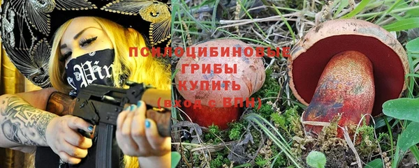 гидра Ельня