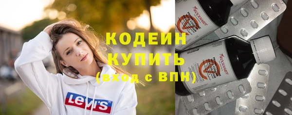 гидра Ельня