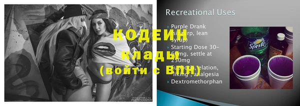 гидра Ельня