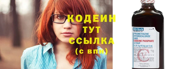 гидра Ельня