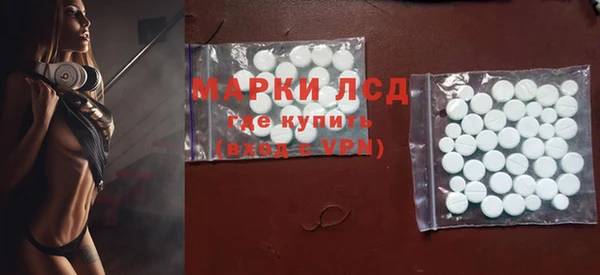 ГАЛЛЮЦИНОГЕННЫЕ ГРИБЫ Заволжье