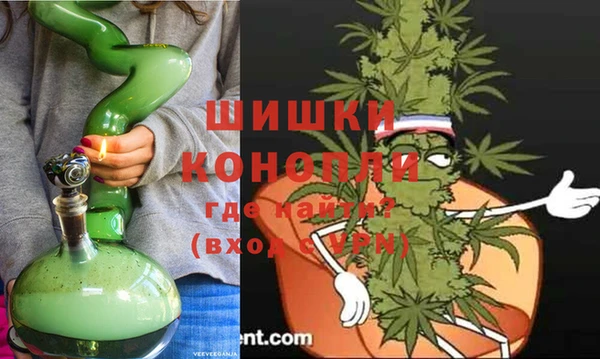 гидра Ельня