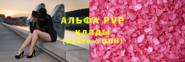 ГАЛЛЮЦИНОГЕННЫЕ ГРИБЫ Заволжье