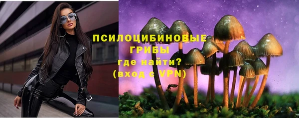 альфа пвп Гусев