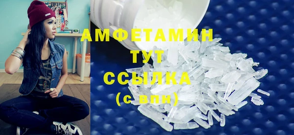 гидра Ельня