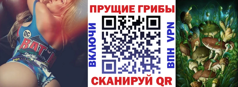 Галлюциногенные грибы Psilocybine cubensis  Купить где  Медвежьегорск 